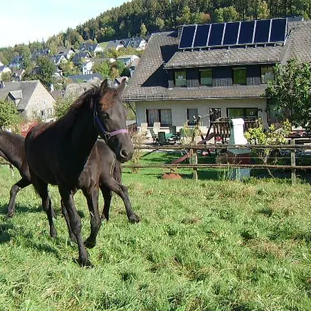 Haus Cristallo Olsberg Eksteriør billede