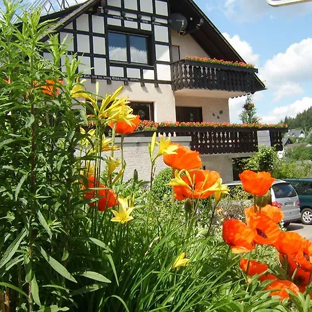 Haus Cristallo Olsberg Eksteriør billede