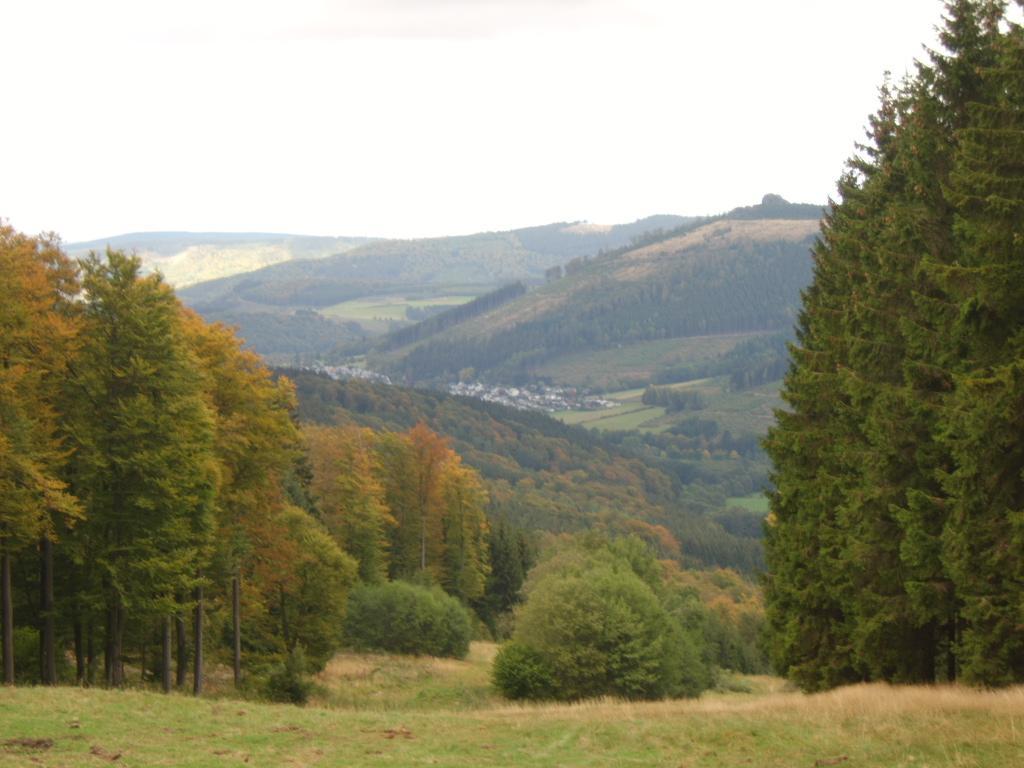 Haus Cristallo * Olsberg