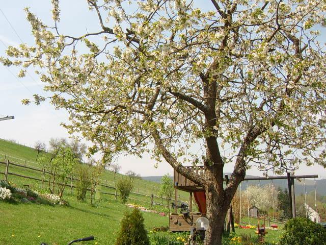 Haus Cristallo Appartement